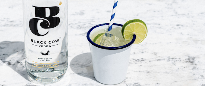 Best Premium Vodka Brands to Drink in 2020